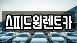 스피드원렌트카