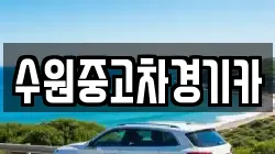 수원중고차경기카