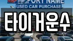타이거운수