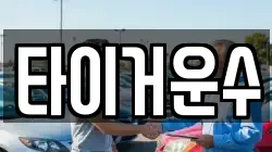 타이거운수