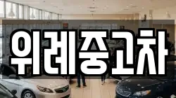 위례중고차