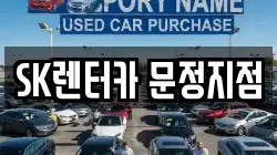 서울특별시 송파구 장지동 렌트카,단기렌트카,장기렌트카,중고차,중고차매매,중고차매입