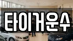 타이거운수