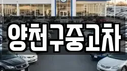양천구중고차