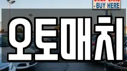 오토매치