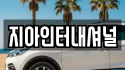 지아인터내셔널