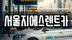 서울지에스렌트카