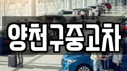 양천구중고차