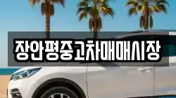 장안평중고차매매시장