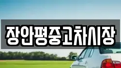 장안평중고차시장