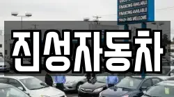진성자동차