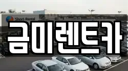 금미렌트카