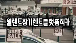 월렌트장기렌트플랫폼직카