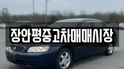 장안평중고차매매시장