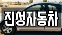 진성자동차