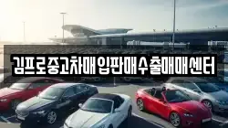 김프로중고차매입판매수출매매센터
