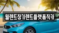월렌트장기렌트플랫폼직카