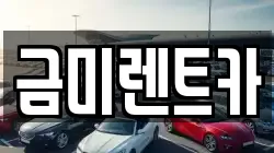 금미렌트카