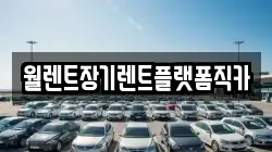 월렌트장기렌트플랫폼직카