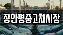 장안평중고차시장