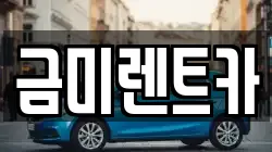 금미렌트카