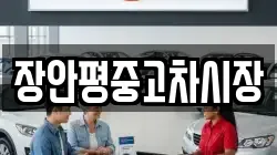 장안평중고차시장