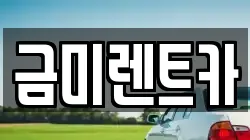 금미렌트카