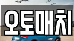오토매치