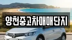 양천중고차매매단지