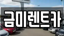 금미렌트카