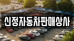 신정자동차판매상사