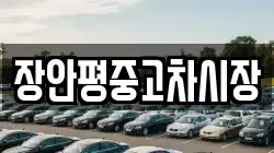 장안평중고차시장