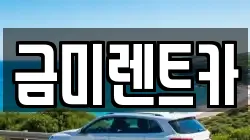금미렌트카