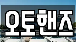 오토핸즈
