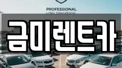 금미렌트카
