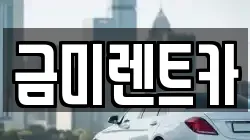 금미렌트카