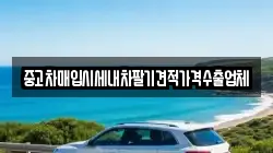 중고차매입시세내차팔기견적가격수출업체