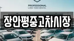 장안평중고차시장
