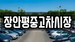장안평중고차시장