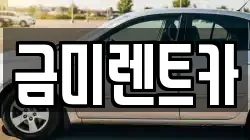 금미렌트카