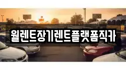 월렌트장기렌트플랫폼직카
