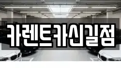 카렌트카신길점