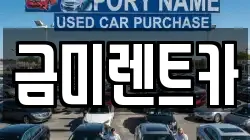 금미렌트카