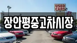 장안평중고차시장