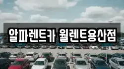 알파렌트카 월렌트용산점