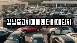 강남중고차매매센터매매단지