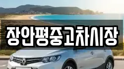 장안평중고차시장