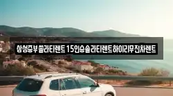 삼성중부쏠라티렌트15인승솔라티렌트하이리무진차렌트