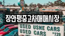 장안평중고차매매시장
