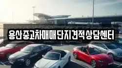 용산중고차매매단지견적상담센터